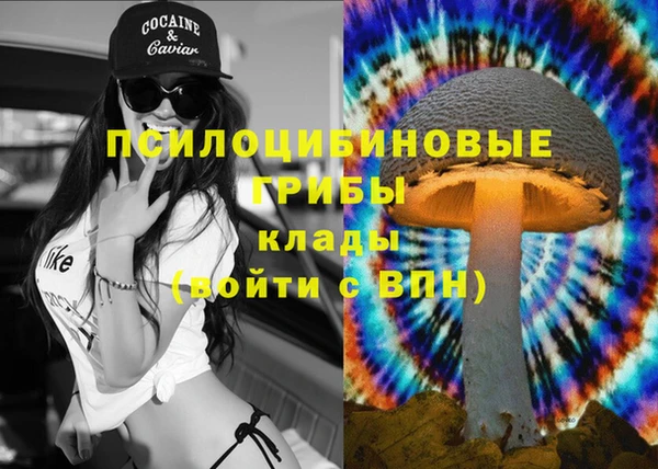 каннабис Беломорск
