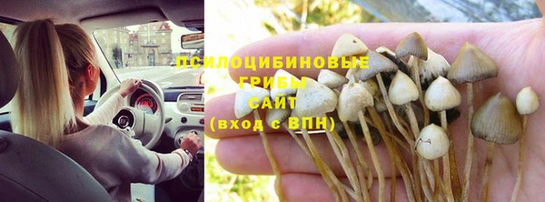 наркотики Белокуриха